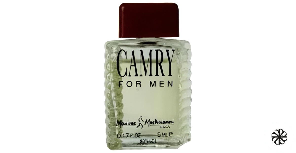 Camry for Men Maxime Mastroianni