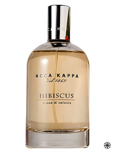 Hibiscus Acca Kappa