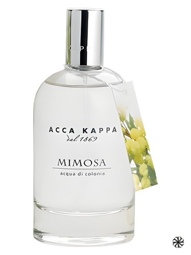 Mimosa Acca Kappa