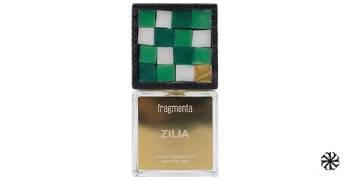Zilia Fragmenta