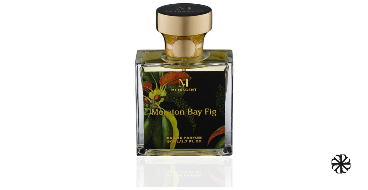 Moreton Bay Fig MetaScent