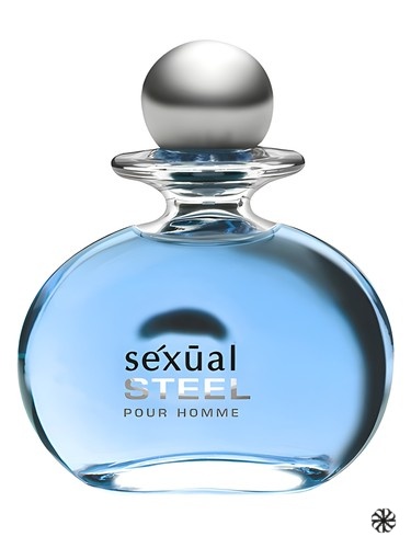 Sexual Steel Pour Homme Michel Germain
