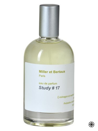 Study No. 17 Miller et Bertaux