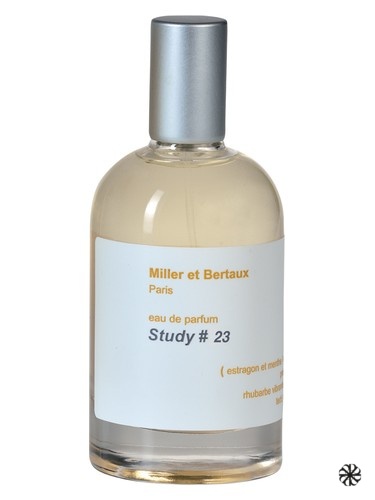 Study No. 23 / Newsletter Miller et Bertaux
