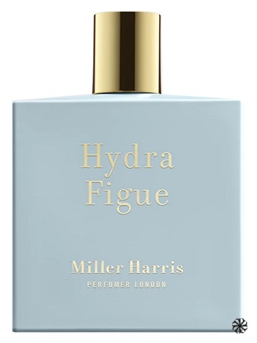Hydra Figue Miller Harris