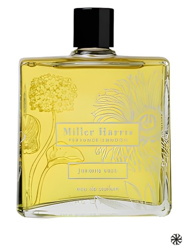 Jasmin Vert Miller Harris