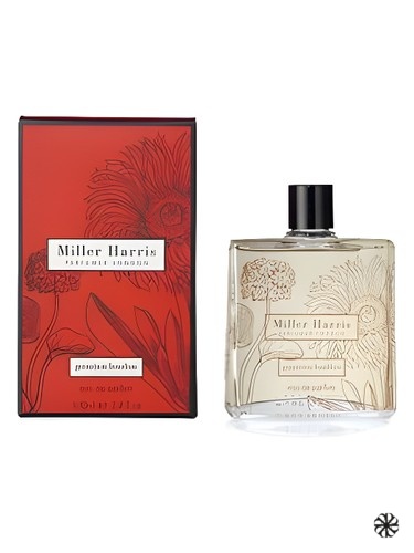 Geranium Bourbon Miller Harris