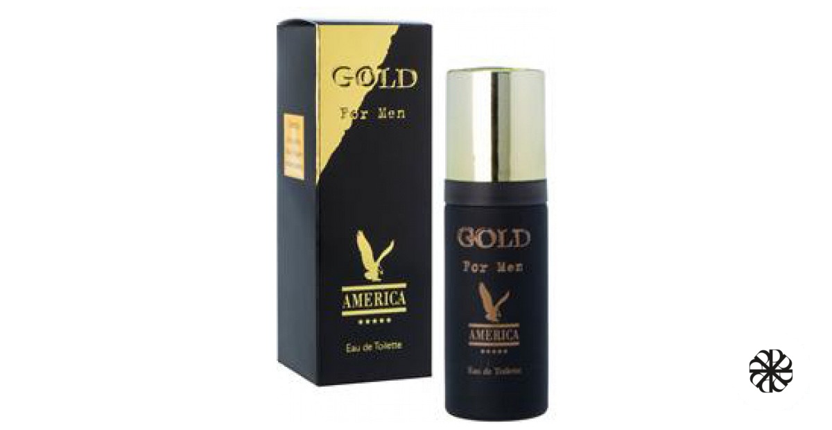 America Gold For Men Milton Lloyd