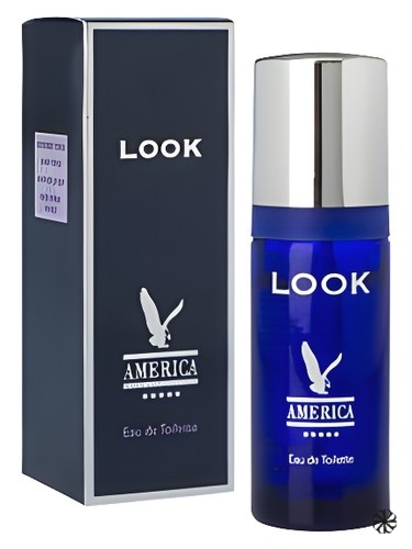 America Look Milton Lloyd