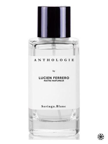 Seringa Blanc Anthologie