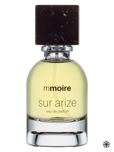 Sur Arize Mmoire