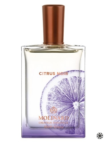 Citrus Noir Molinard