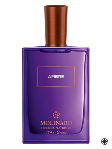 Ambre Eau de Parfum Molinard