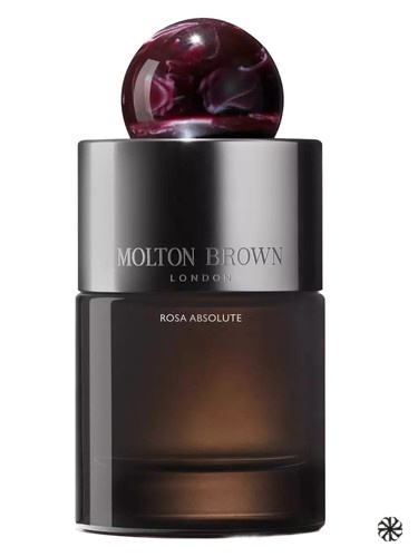Rosa Absolute Eau de Parfum Molton Brown