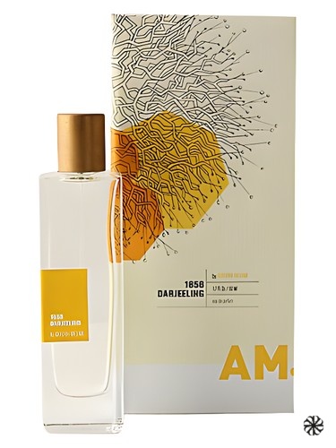 A Rather Novel Collection 1856 Darjeeling by Adriana Medina Anthropologie