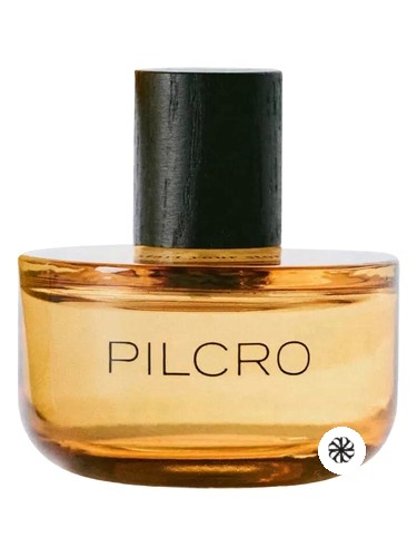 Pilcro Anthropologie