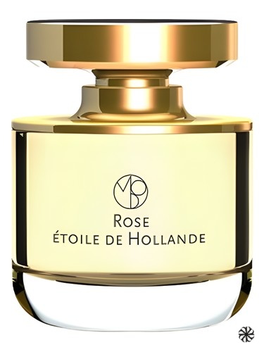 Rose Etoile de Hollande Mona di Orio