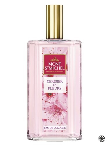 Cerisier en Fleurs Mont St Michel