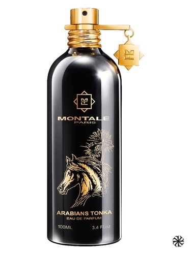 Arabians Tonka Montale