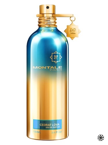 Cedrat Lova Montale