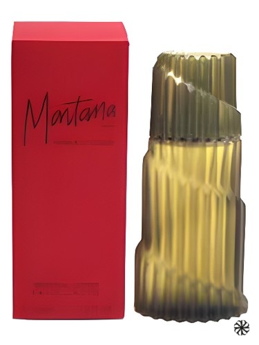 Montana Parfum d'Homme Montana