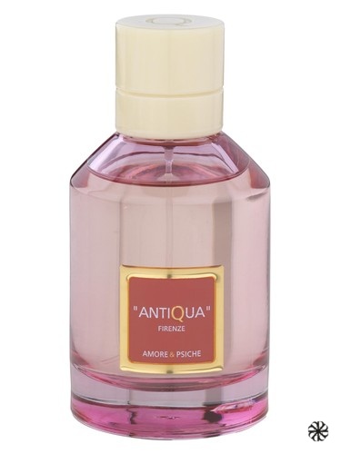 Amore & Psiche Antiqua Firenze