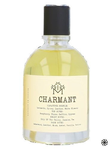 Charmant Moudon