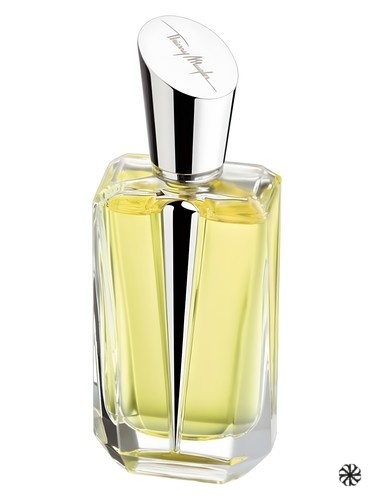 Mirror Mirror Collection - Miroir des Secrets Mugler