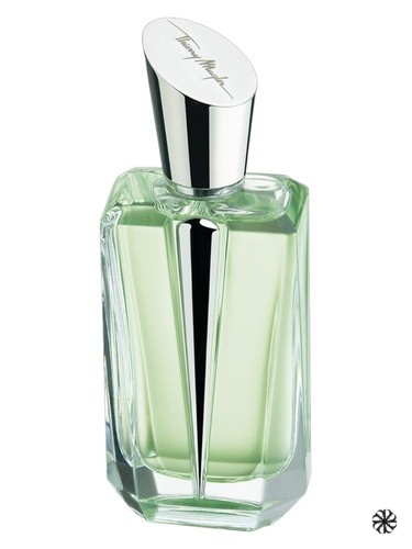 Mirror Mirror Collection - Miroir Des Vanites Mugler