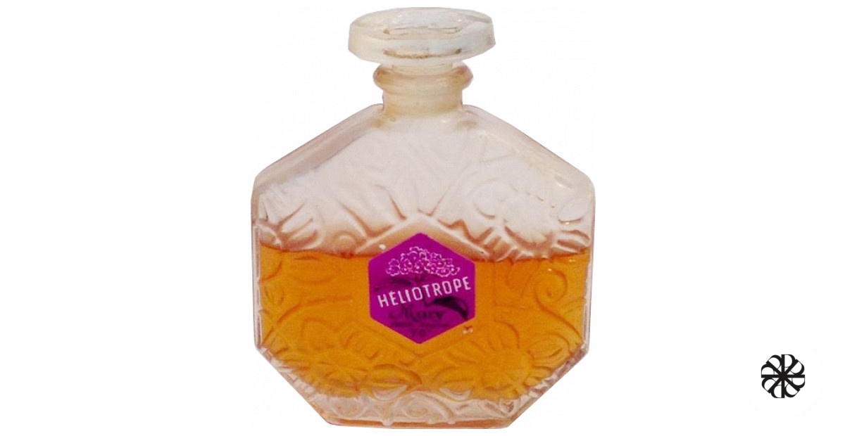 Heliotrope Mury Paris