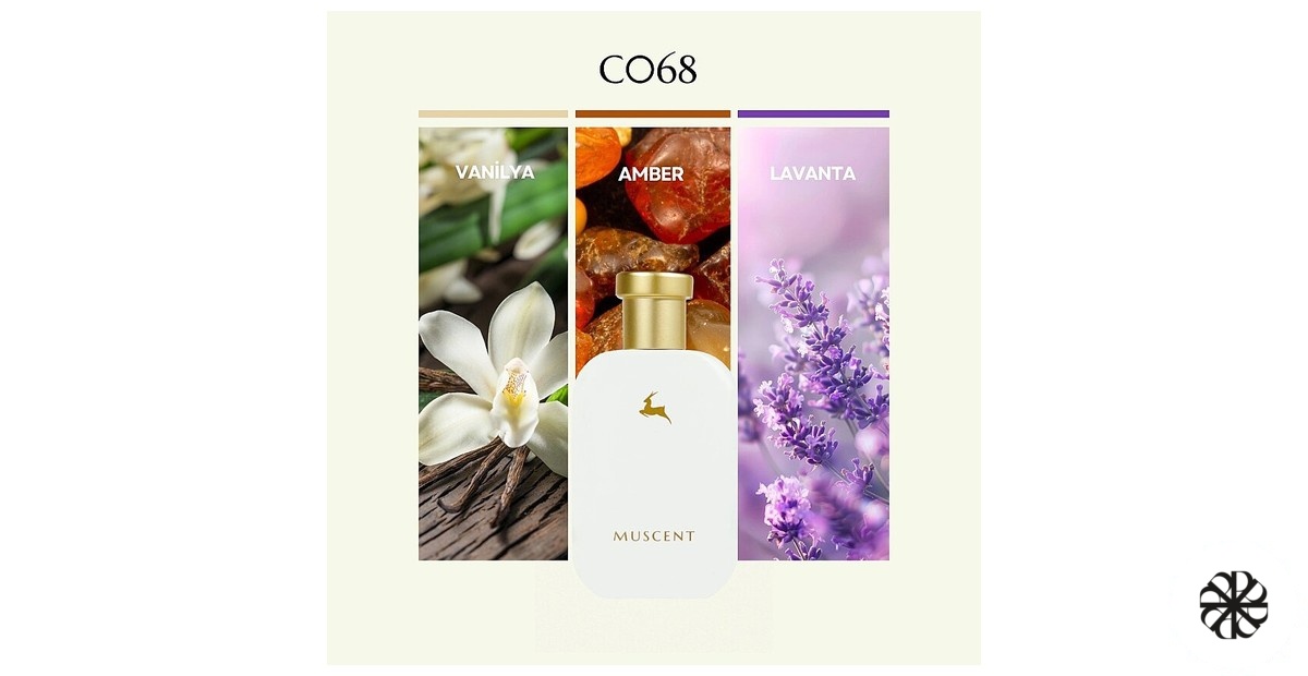C068 Muscent