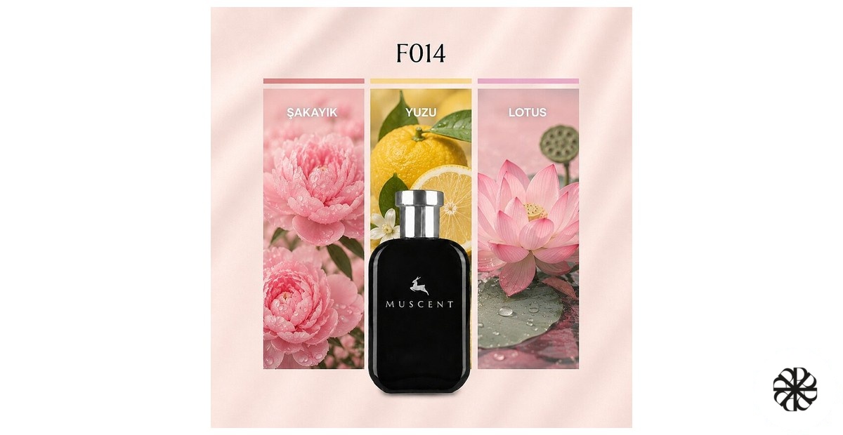 F014 Muscent