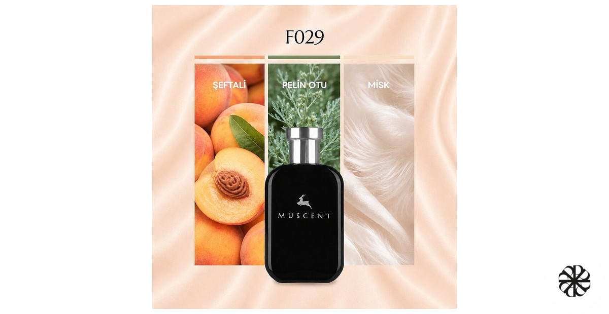F029 Muscent
