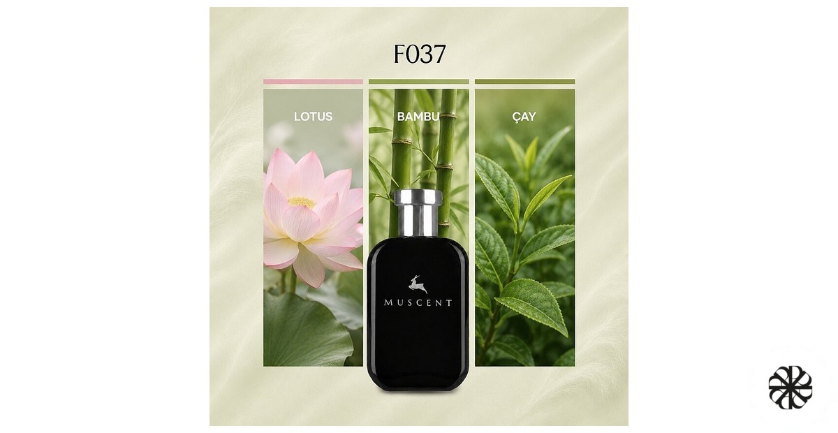 F037 Muscent
