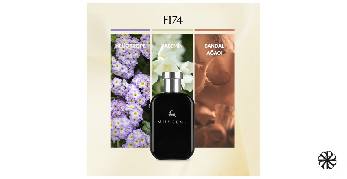 F174 Muscent