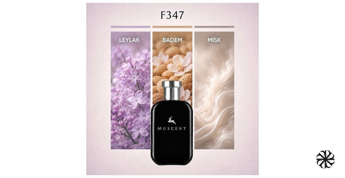 F347 Muscent