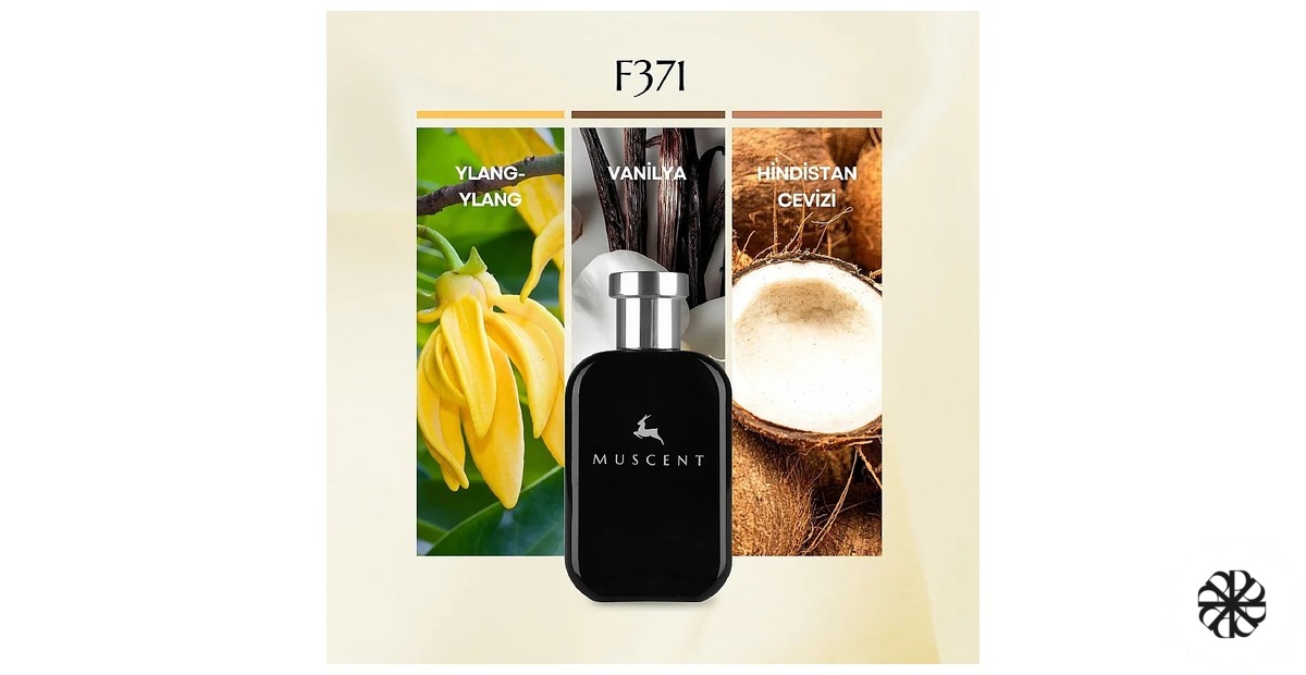 F371 Muscent
