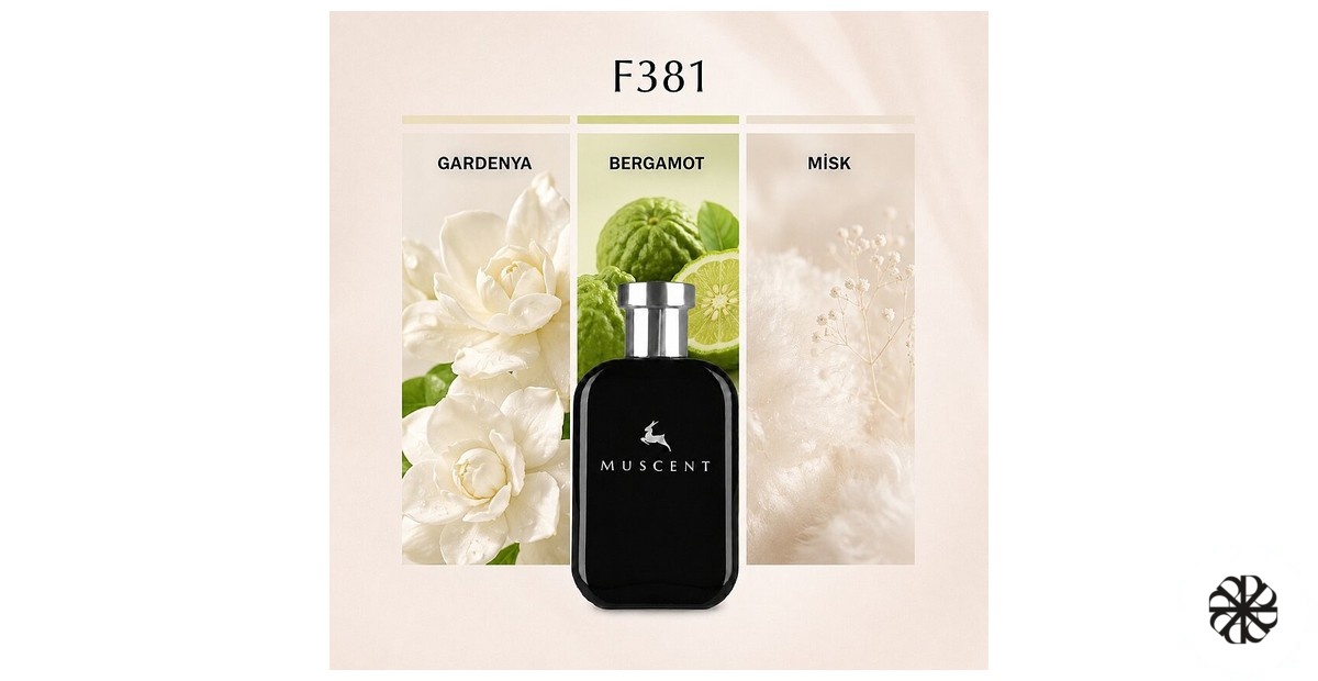 F381 Muscent