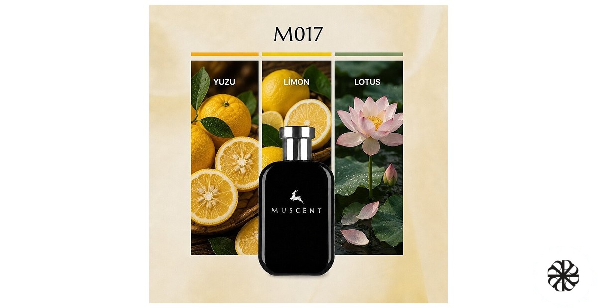 M017 Muscent