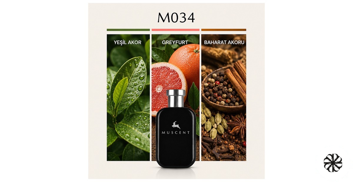 M034 Muscent