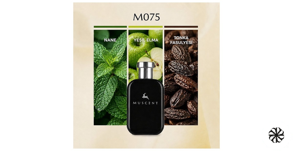 M075 Muscent