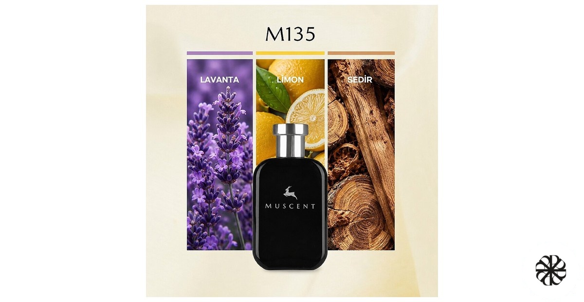 M135 Muscent