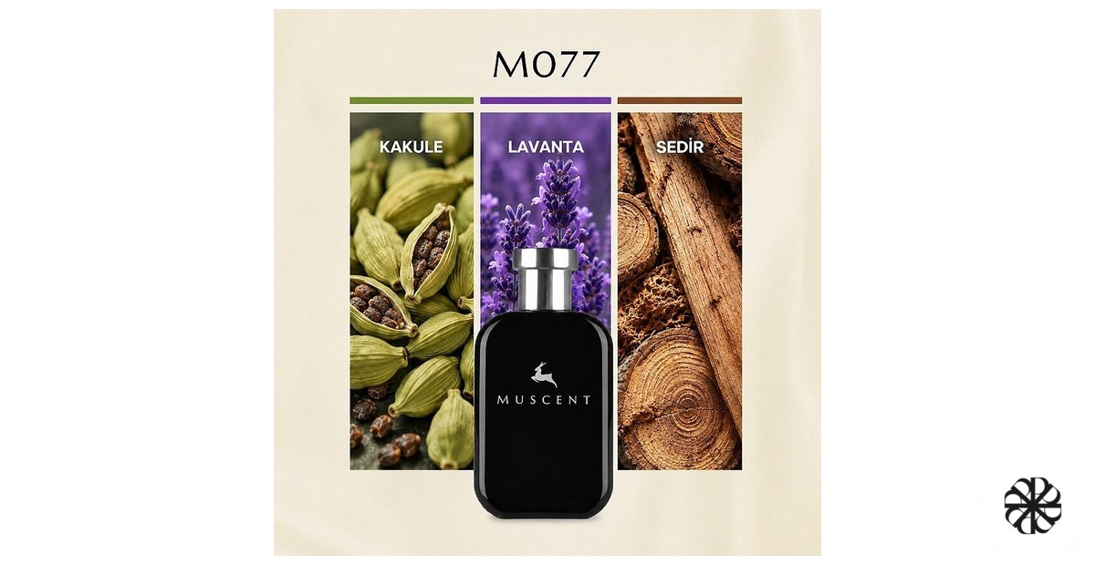M077 Muscent