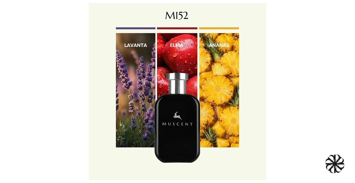 M152 Muscent
