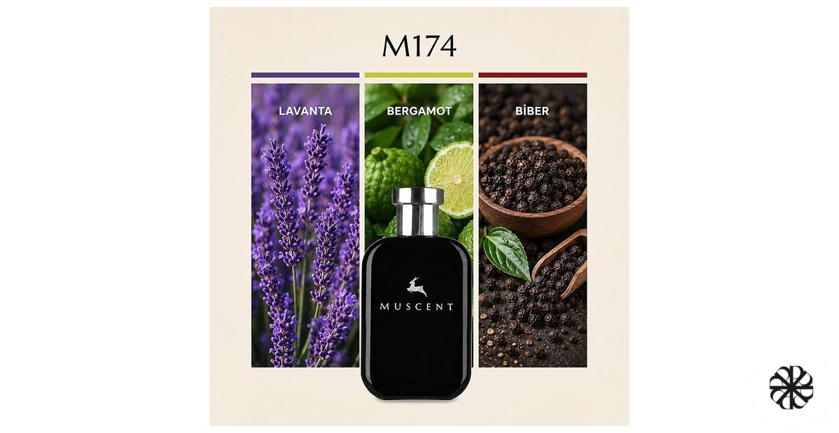 M174 Muscent