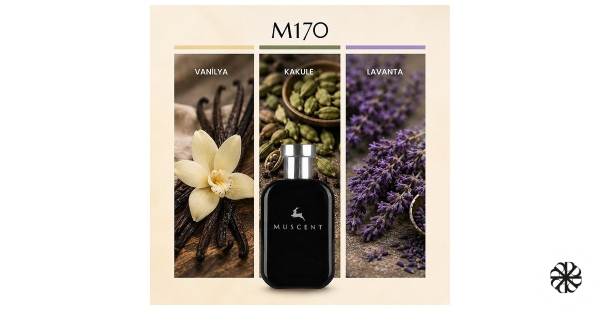 M170 Muscent
