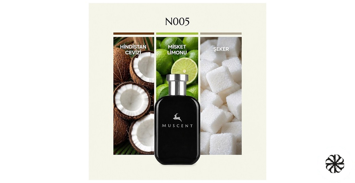 N005 Muscent