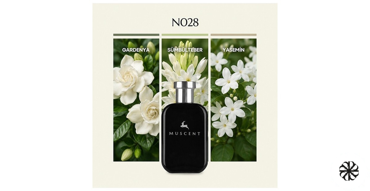 N028 Muscent