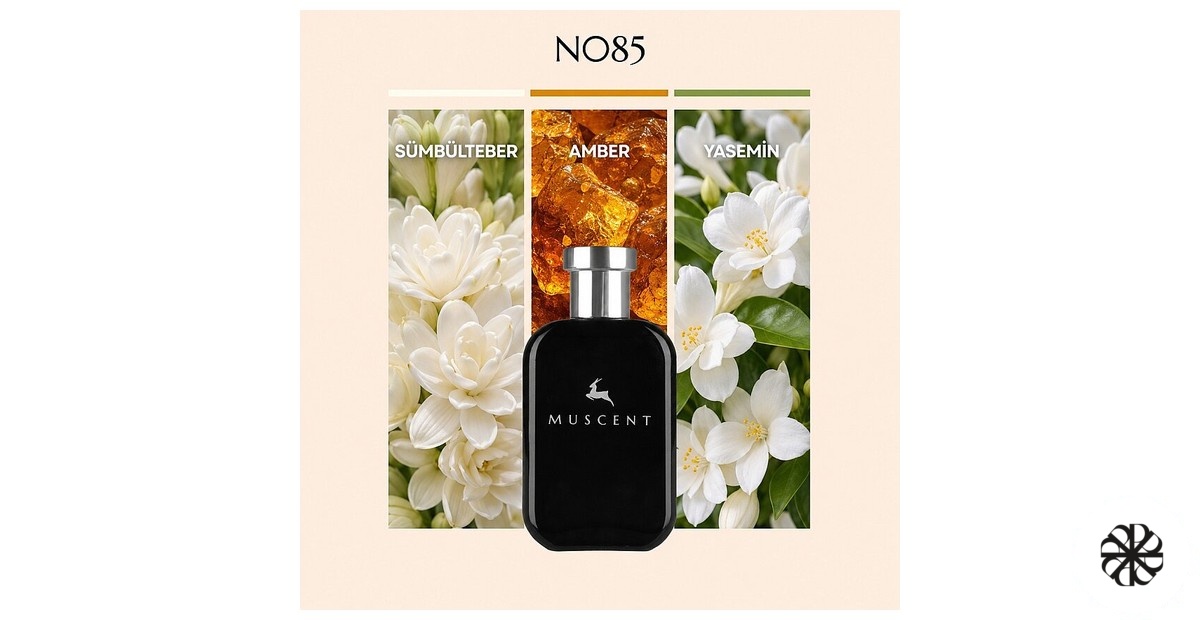 N085 Muscent