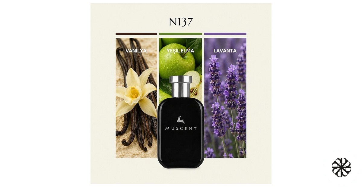 N137 Muscent